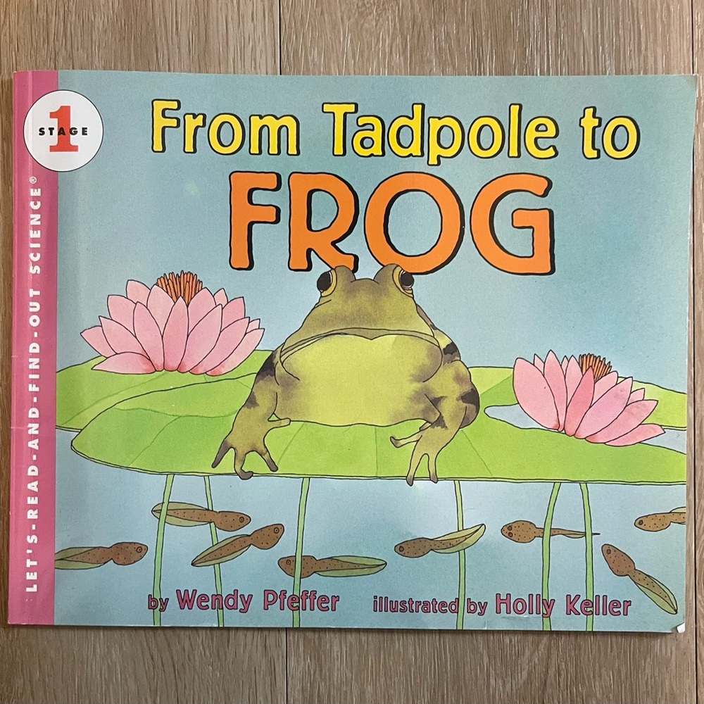 From Tadpole to Frog